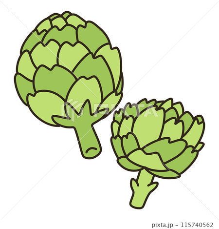 アーティチョーク アーティチョーク 115740562