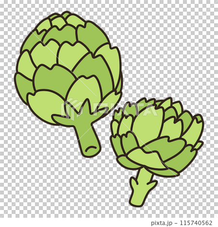 アーティチョーク アーティチョーク 115740562