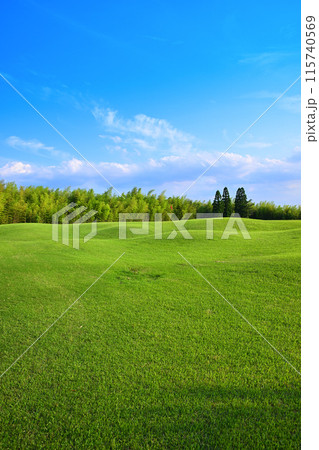 人無し　起伏激しいゴルフ場　初夏の風景　　　　 115740569