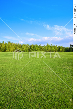 人無し　起伏激しいゴルフ場　初夏の風景　　　　 115740575