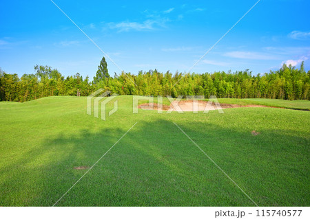 人無し　起伏激しいゴルフ場　初夏の風景　　　　 115740577