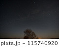 北海道道東の平原の木立と天の川-1 115740920