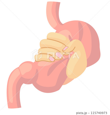 握られる胃袋 115740973