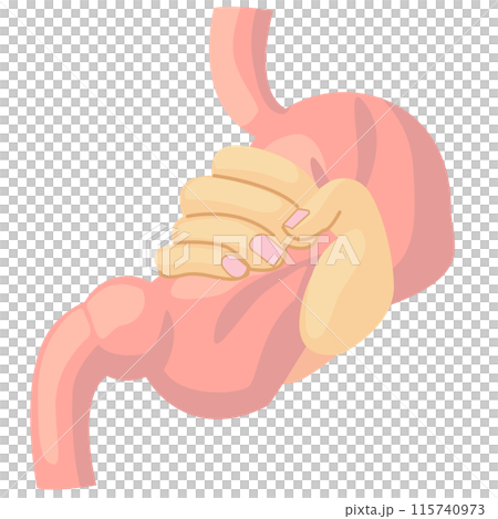 握られる胃袋 115740973
