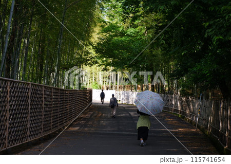 京都洛西竹林公園で 京都洛西竹林公園で 115741654