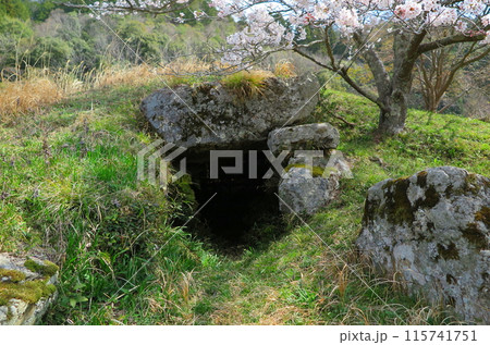 篠山盆地に残る小さな古墳「洞中古墳一号」入口部分 篠山盆地に残る小さな古墳「洞中古墳一号」入口部分 115741751