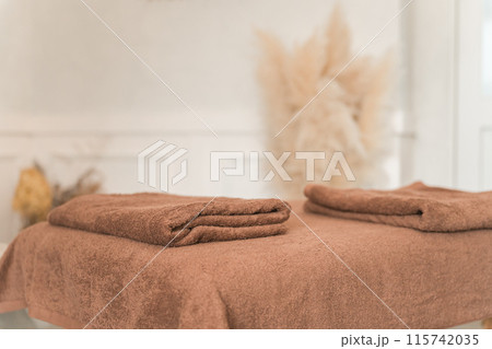 施術台・マッサージベッドのある部屋（整体院・整骨院・接骨院・鍼灸院） 115742035