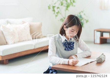 家で勉強する高校生 115742124