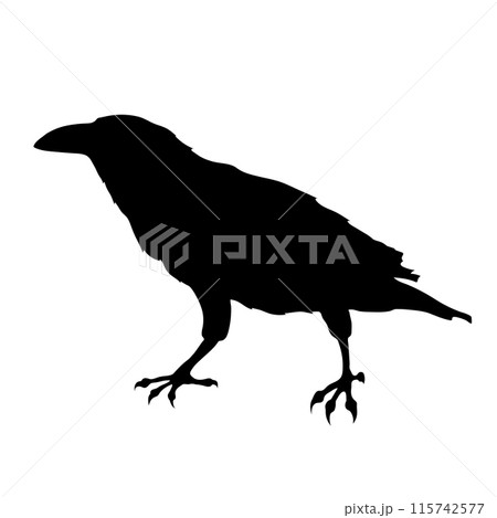 Bird Raven Crow Black Silhouette for Icon. 115742577