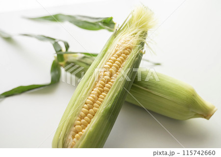 朝取れトウモロコシ 朝取れトウモロコシ 115742660
