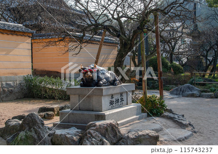 太宰府天満宮 115743237