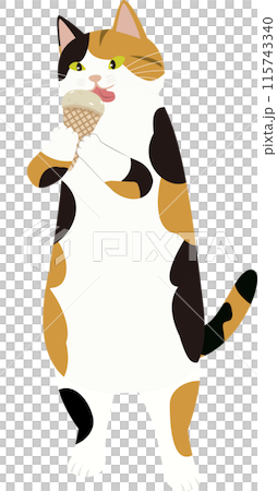 Calico cat with ice cream 115743340