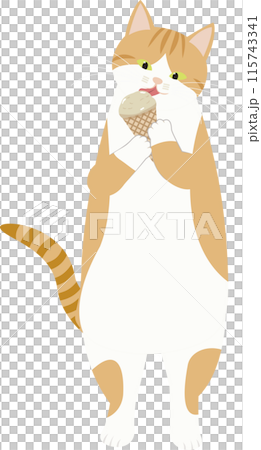 Brown and white cat holding ice cream 115743341