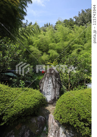 国の重要文化財 萬翠荘　愛媛県松山市 115743944