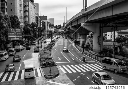 都心の交通と首都高速 目白通り 2024.06　モノクロ 115743956