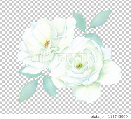 水彩畫白花的插圖 115743969