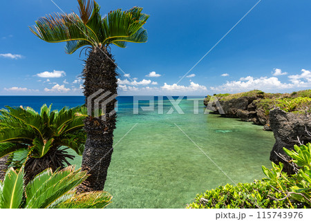 Beautiful tropical sea and palm tree Beautiful tropical sea and palm tree 115743976