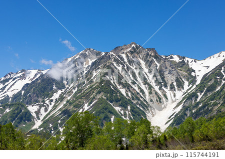 新緑が映える初夏の長野県の栂池 115744191