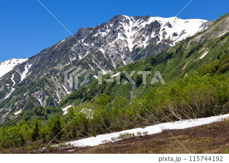 新緑が映える初夏の長野県の栂池 115744192