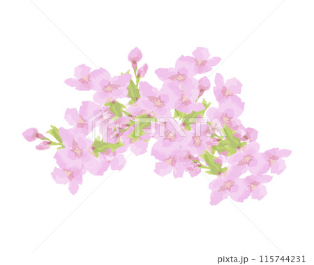 桜の花冠の水彩イラスト 115744231