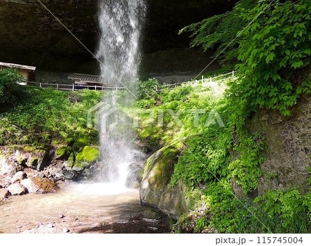 棚下不動の滝　雄滝 115745004