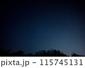 北海道十勝の星空と樹々-6 115745131