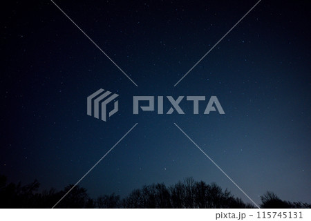 北海道十勝の星空と樹々-6 北海道十勝の星空と樹々-6 115745131