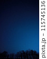 北海道音更の星空と樹々-1 115745136