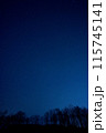 北海道音更の星空と樹々-3 115745141