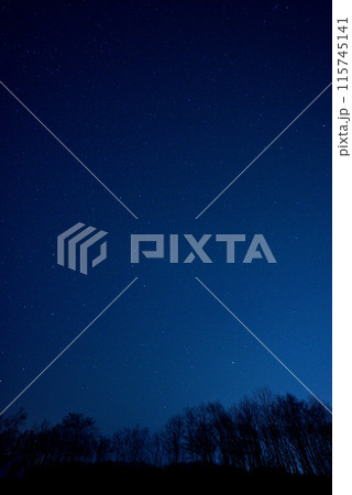 北海道音更の星空と樹々-3 115745141