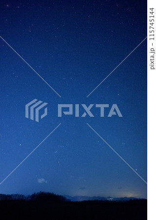 北海道音更の星空と樹々-5 115745144
