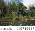 森と川 115745547