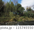 森と川 115745550