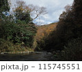 森と川 115745551