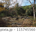 秋を感じる枯葉の山道 115745560