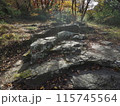 秋を感じる枯葉の山道 115745564