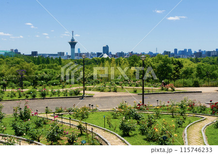 鶴見緑地バラ園眺望 115746233