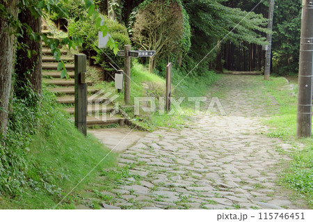 箱根旧街道の石畳/神奈川県 箱根旧街道の石畳/神奈川県 115746451