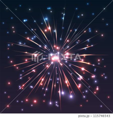 Colorful Fireworks Display in Night Sky 115746543