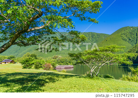 【静岡県】初夏の田貫湖湖畔キャンプ場 115747295