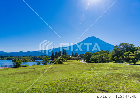 【静岡県】富士山を仰ぐ・初夏の田貫湖キャンプ場 115747349