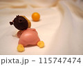 オレンジのボールを追いかける赤ちゃんの女の子 115747474