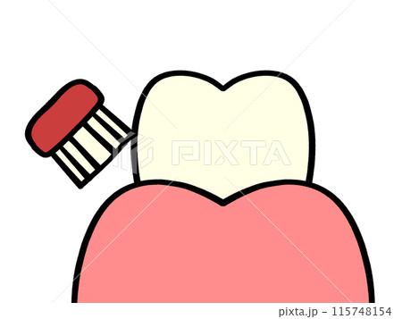 歯の磨き方 バス法のイラスト素材 115748154