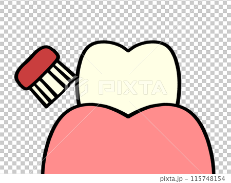 歯の磨き方 バス法のイラスト素材 115748154