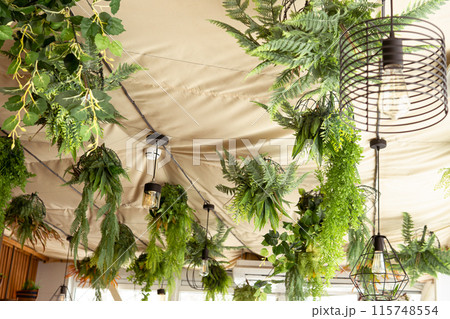 Cafe interior with elements of biophilic design. The ceiling is decorated with hanging indoor plants. The concept of biophilia Cafe interior with elements of biophilic design. The ceiling is decorated with hanging indoor plants. The concept of biophilia 115748554