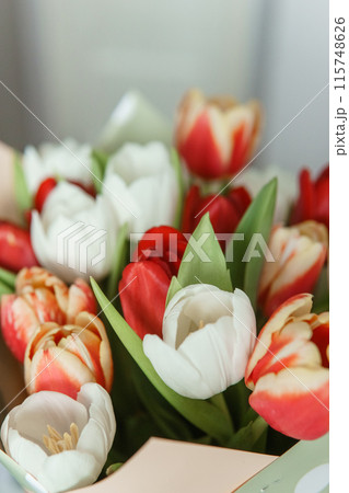 Celebration of Beauty: Tulips in Close-up as a Gift for March 8th Celebration of Beauty: Tulips in Close-up as a Gift for March 8th 115748626