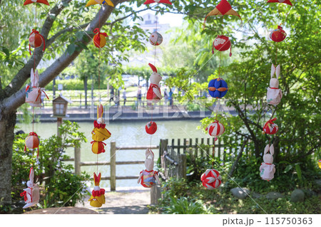 潮来市の観光サッパ舟と船頭さん 115750363