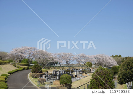 お墓　墓地　霊園 115750588