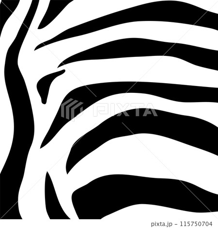 Zebra Stripe Seamless Pattern Zebra Stripe Seamless Pattern 115750704