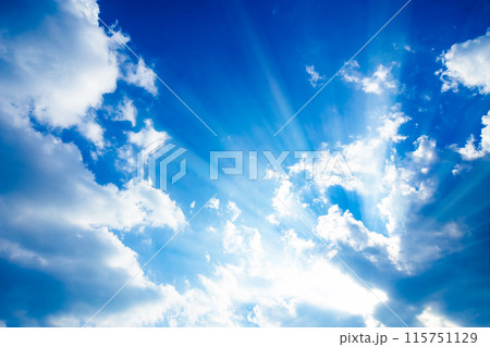 真夏の太陽 真夏の太陽 115751129